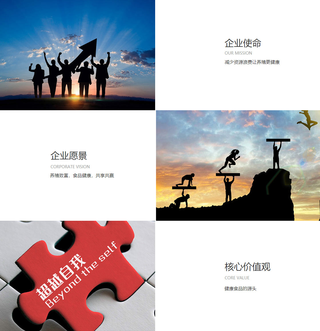 OD体育登录(图1)